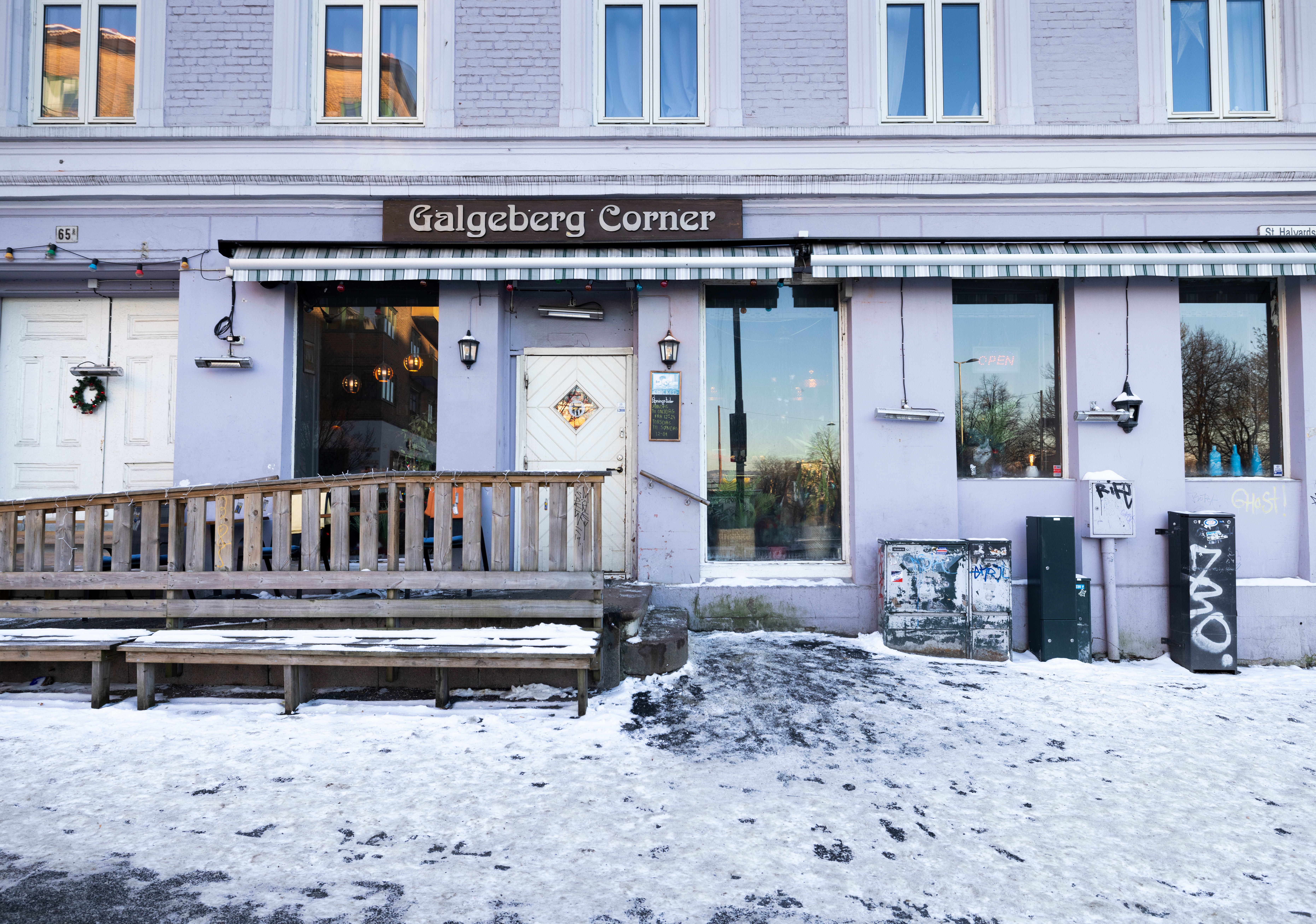 30 brune barer du må vite om i Oslo