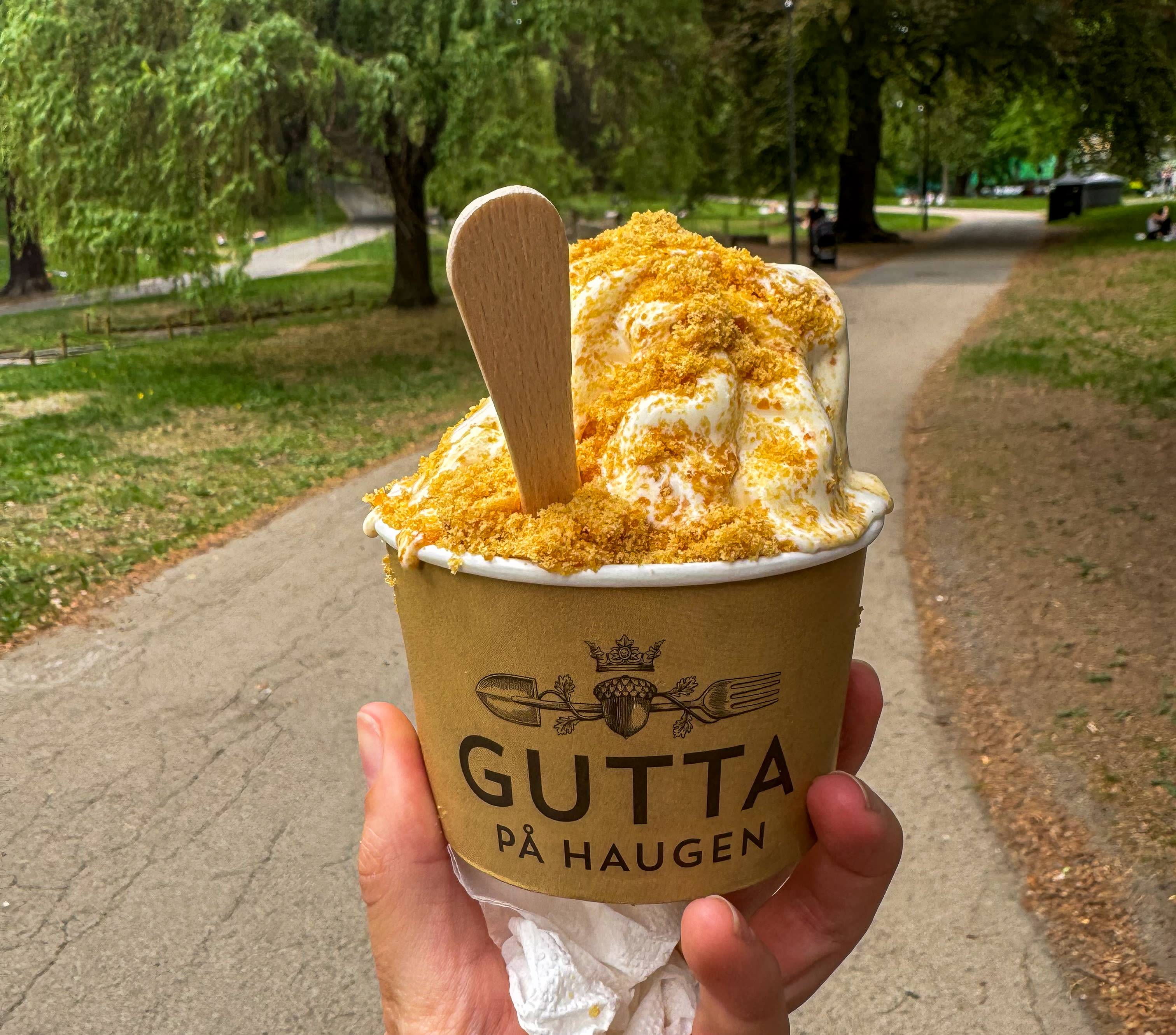 Softis, sorbet og iskrem som vi elsker