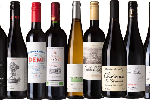 Vinmonopolets 88 nye viner i høstslippet. Aftenpostens vinspaltist har valgt ut de beste. 