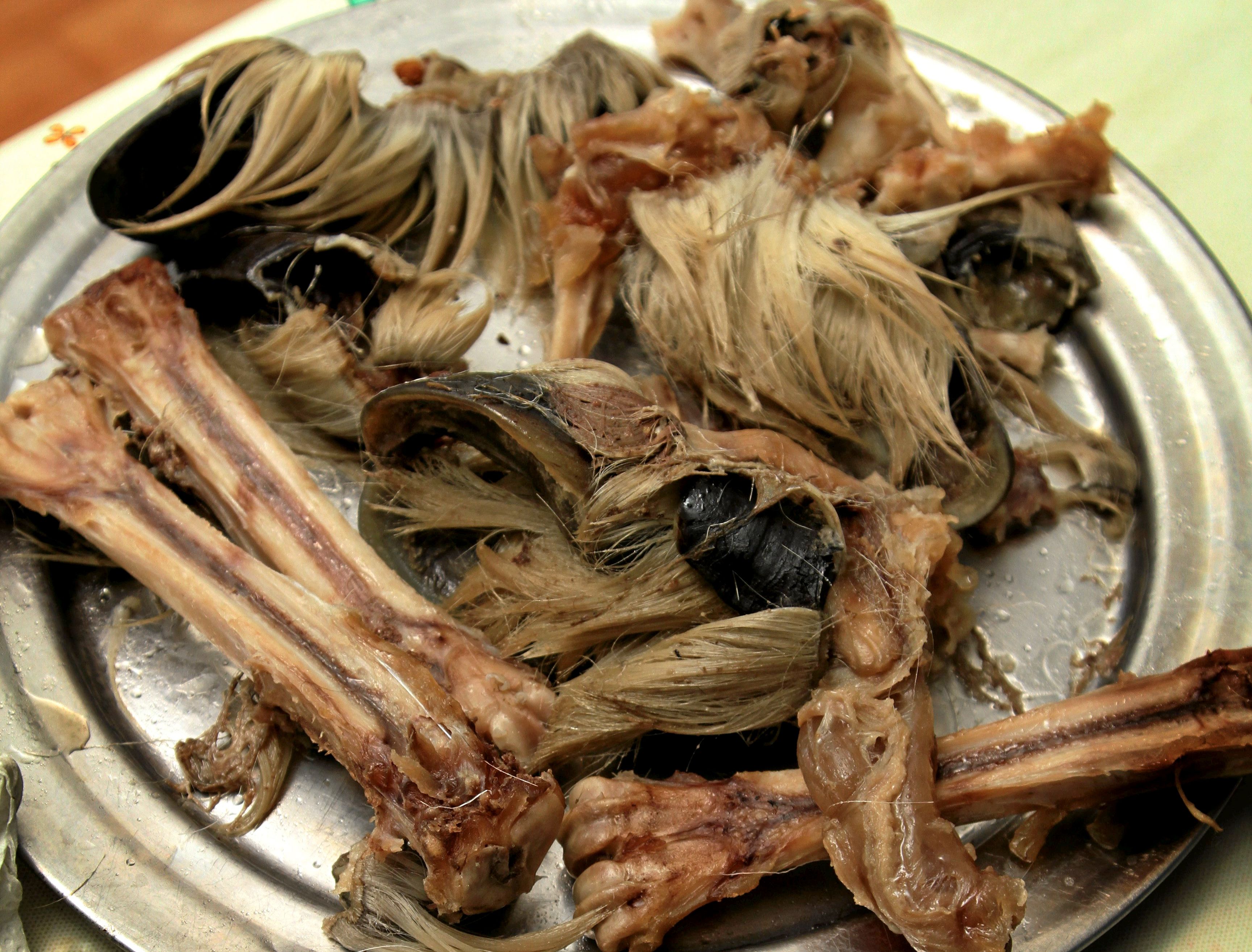 Alt på reinen kan brukes, også margbein og kokte klover. 