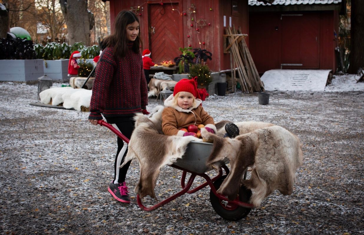 Juleaktiviteter som passer for barna og hele familien