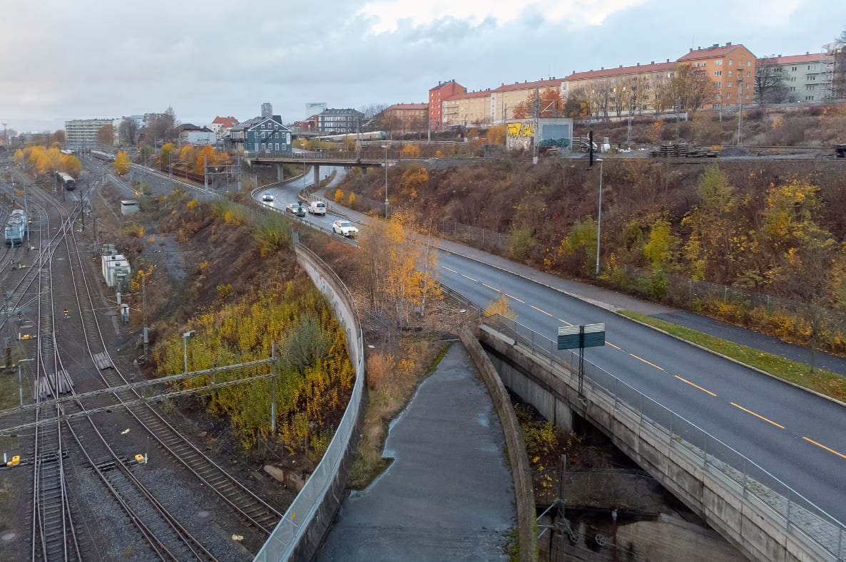 Broens vestlige del er delvis overtatt av naturen. 