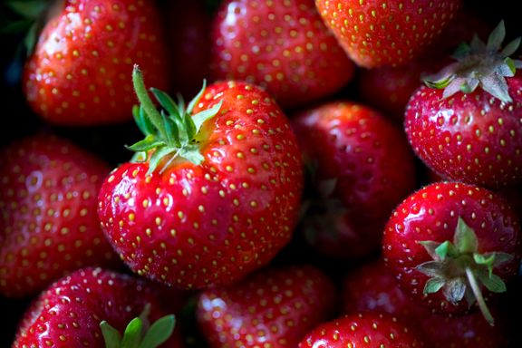 Frykter varmen truer norske jordbær