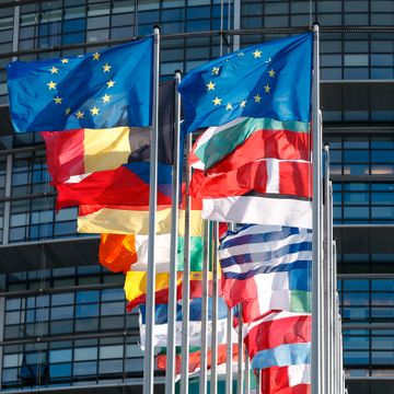 Korrupsjonsjeger: Hvis EU-parlamentet var et medlemsland, burde det vært suspendert