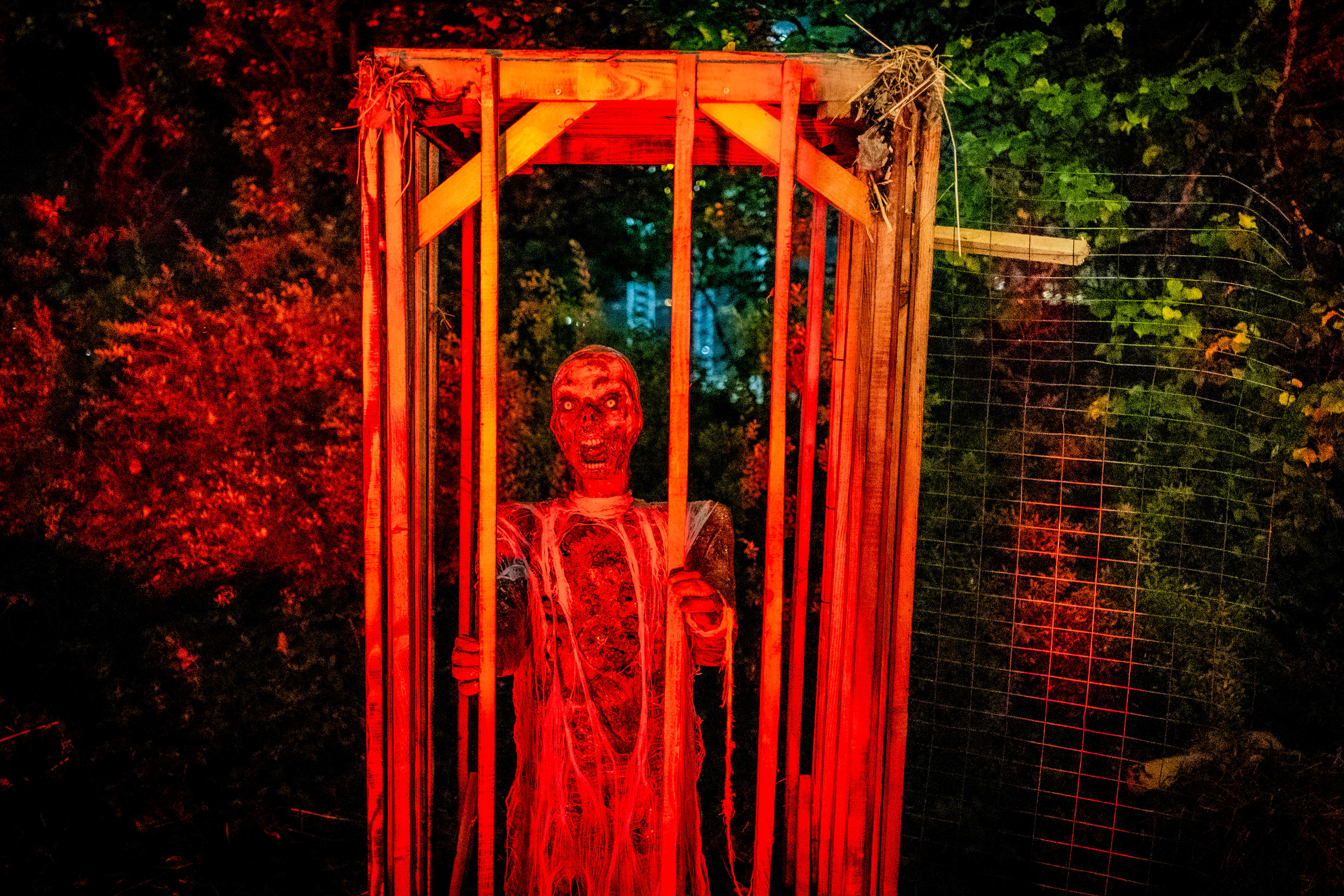 Dette skjer i Oslo i helgen