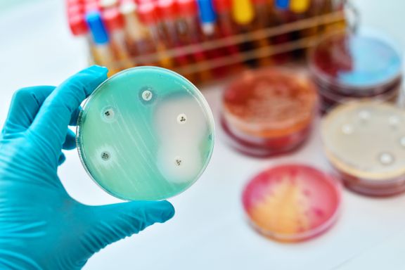 Ny trend: «Biohackere» lager eksperimentell medisin på kjøkkenbenken hjemme
