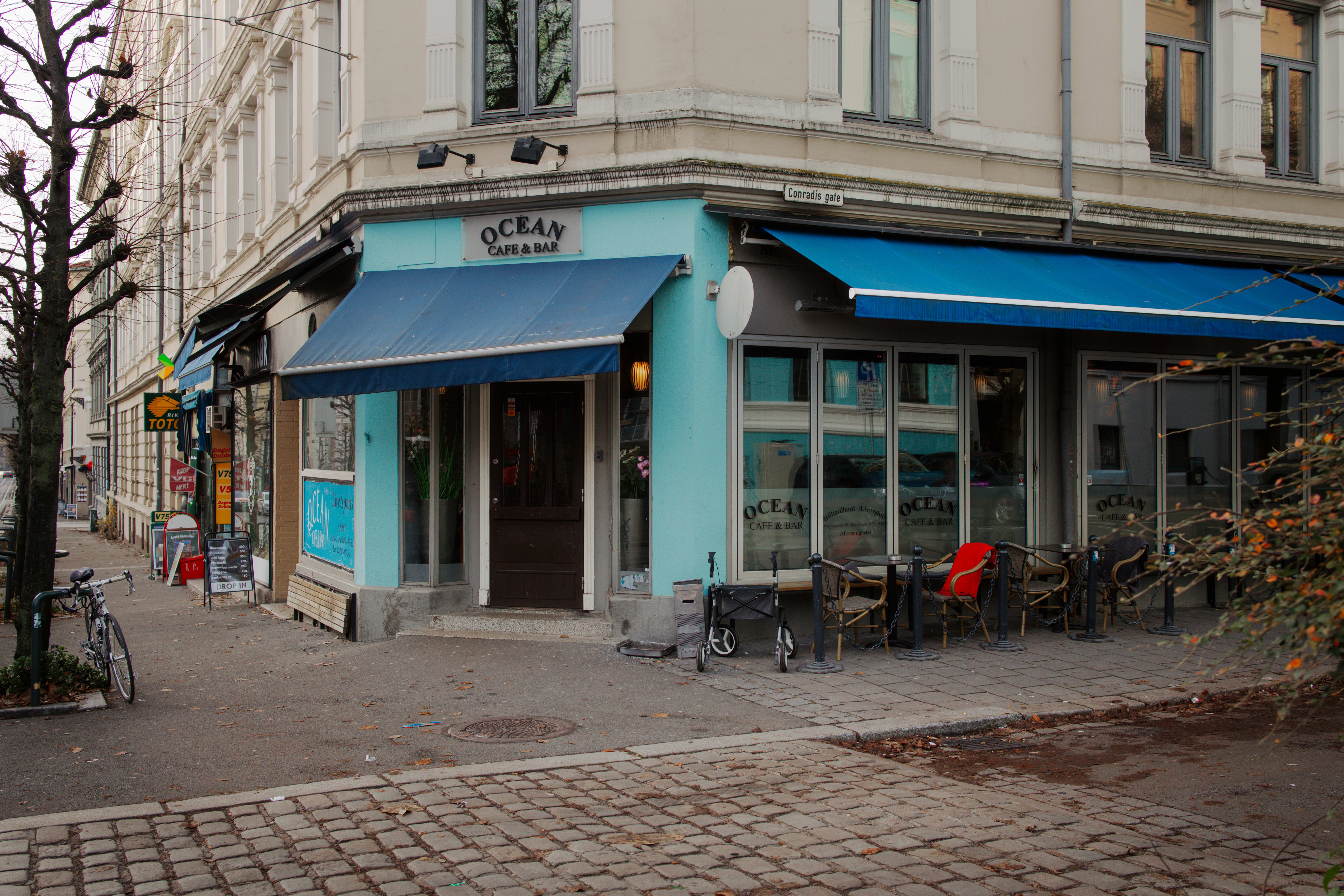 30 brune barer du må vite om i Oslo