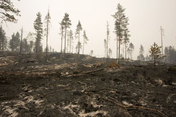 Brannvesenet har kontroll på skogbrannen i Froland
