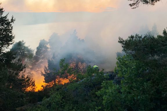 Ekstrem brannfare på Østlandet: Alarmen har gått over tusen ganger i år. 
