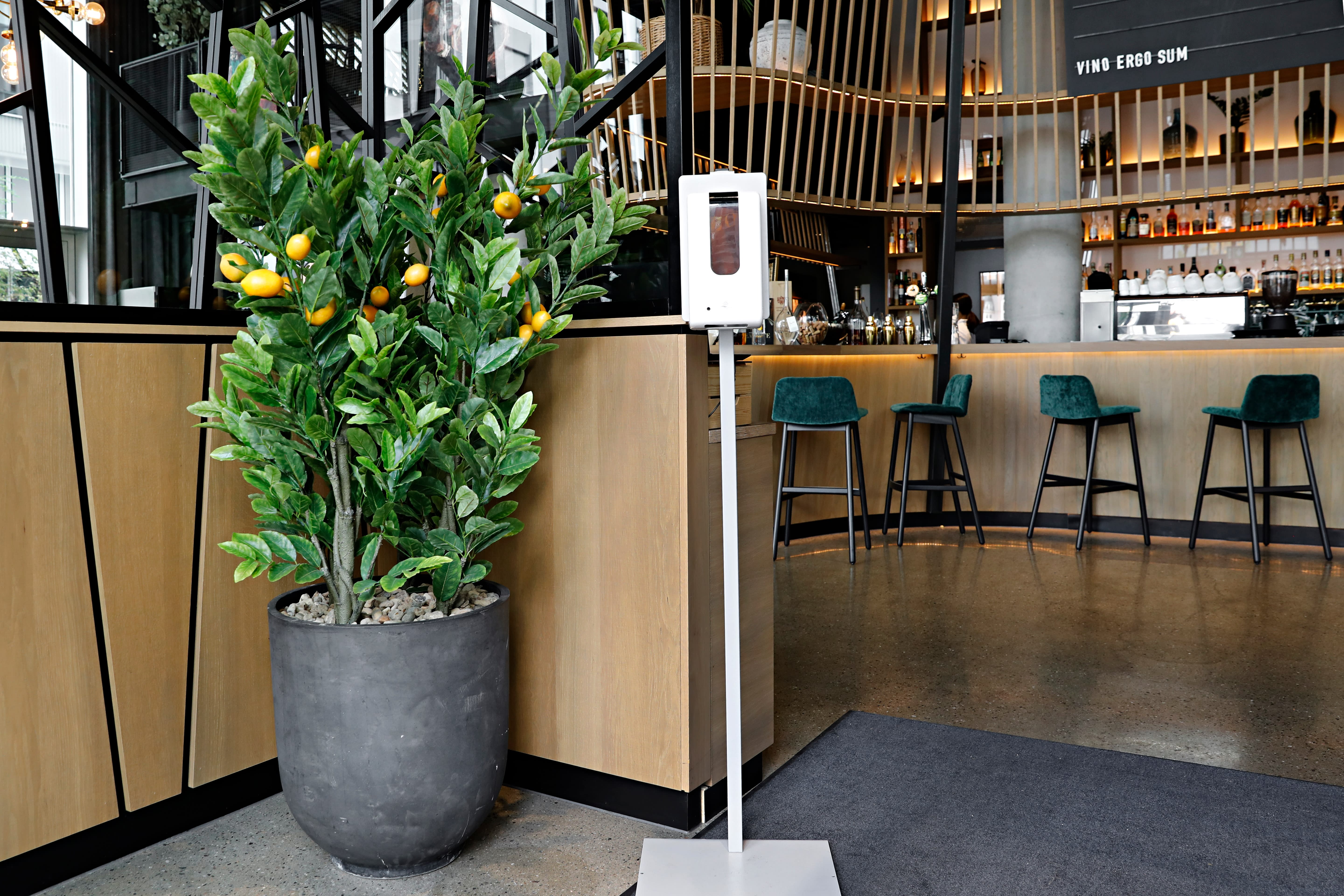 Pussig usjarmerende inngang, et plasttre og en håndspritautomat. 