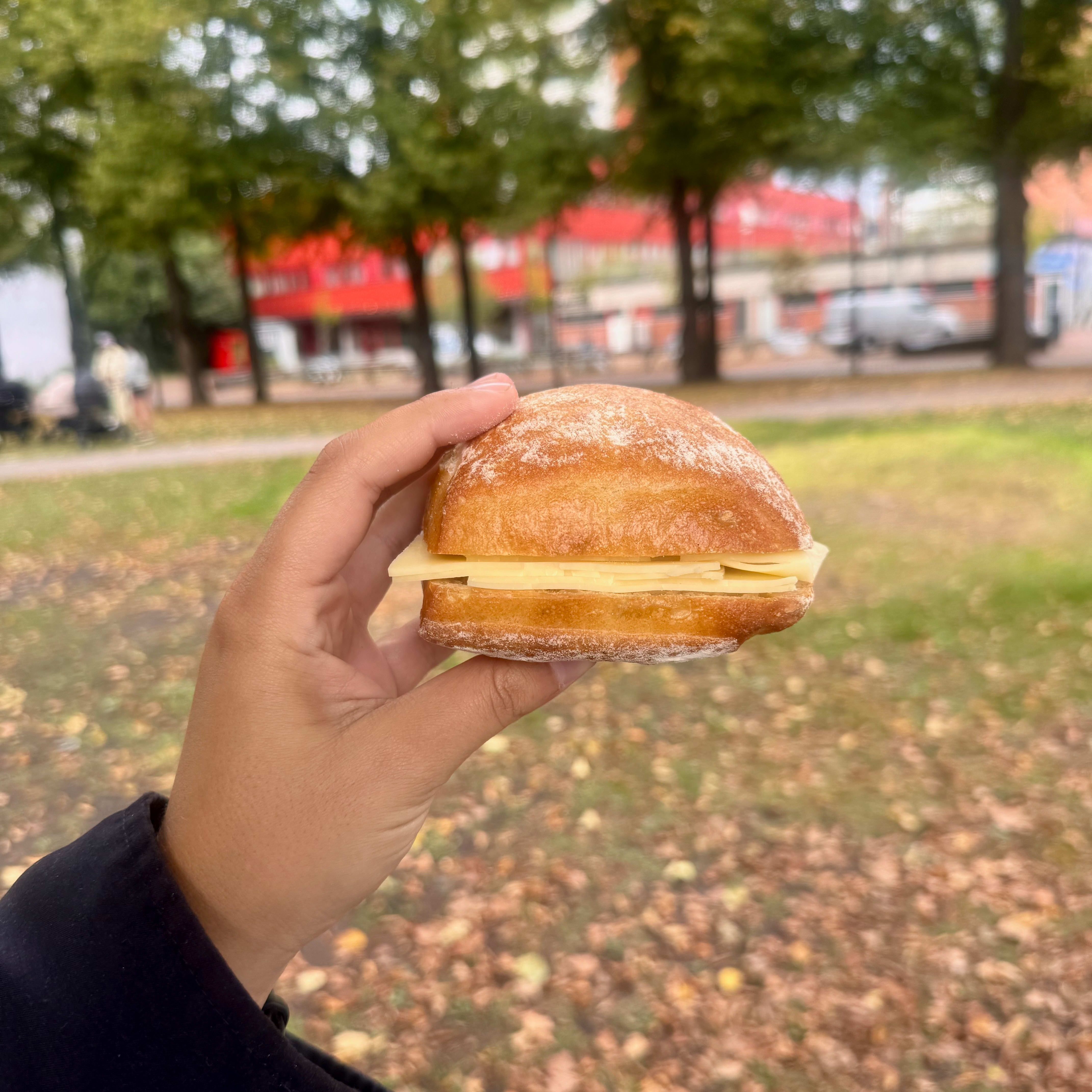 Dette rundstykket vekker sterke følelser