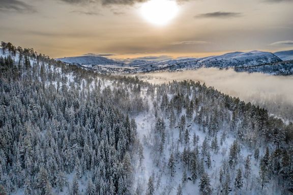 Statskog har solgt norske fjell og skoger for 434 millioner. Her er kjøperlisten de ikke vil at du skal se.