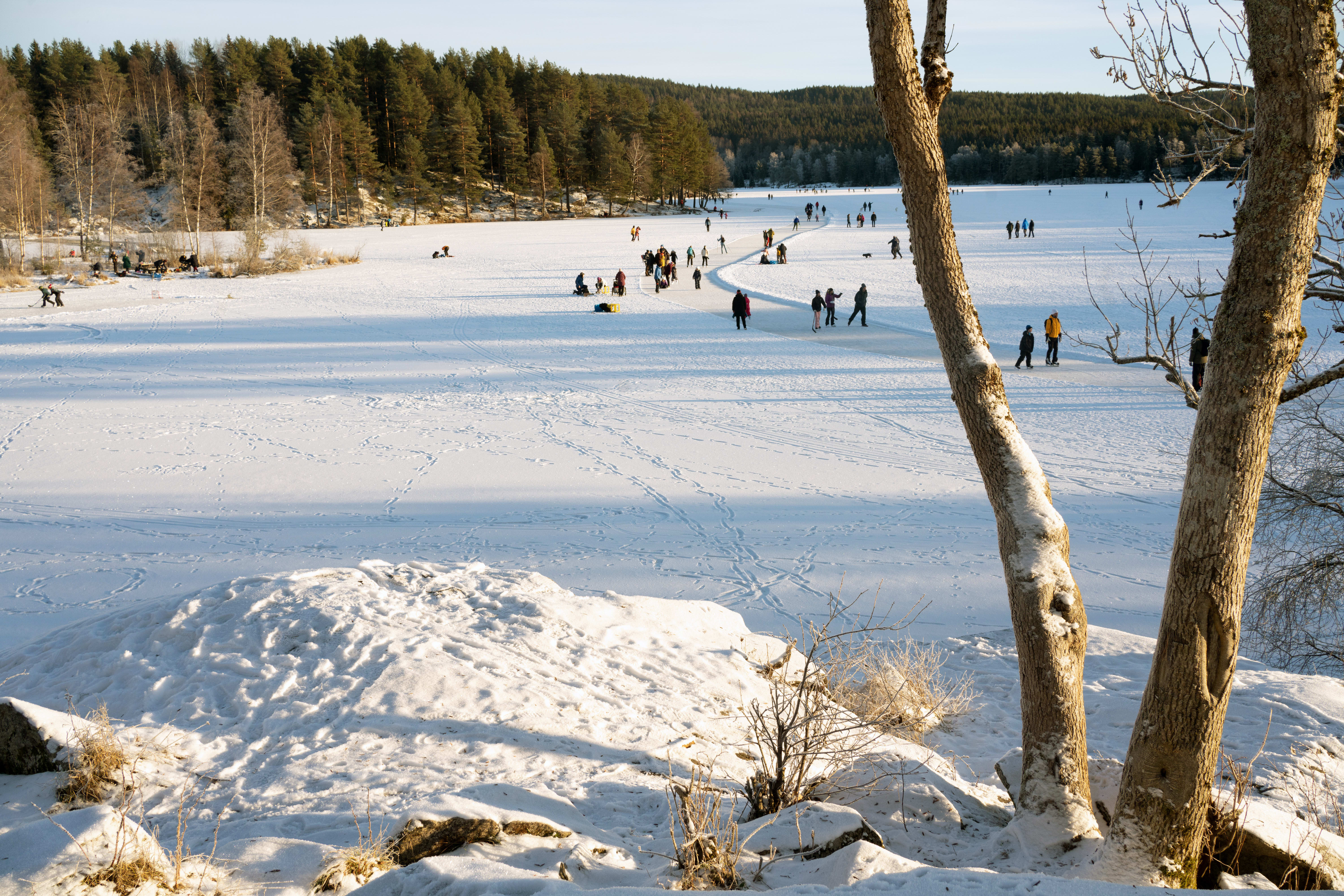 Fem fine, lette skiturer i Oslo