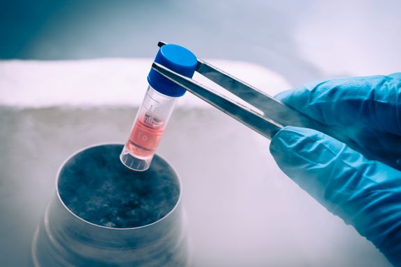 1998: Forskere hentet ut stamceller fra mennesker for første gang. I dag: Kan lage minihjerner og hele embryoer 