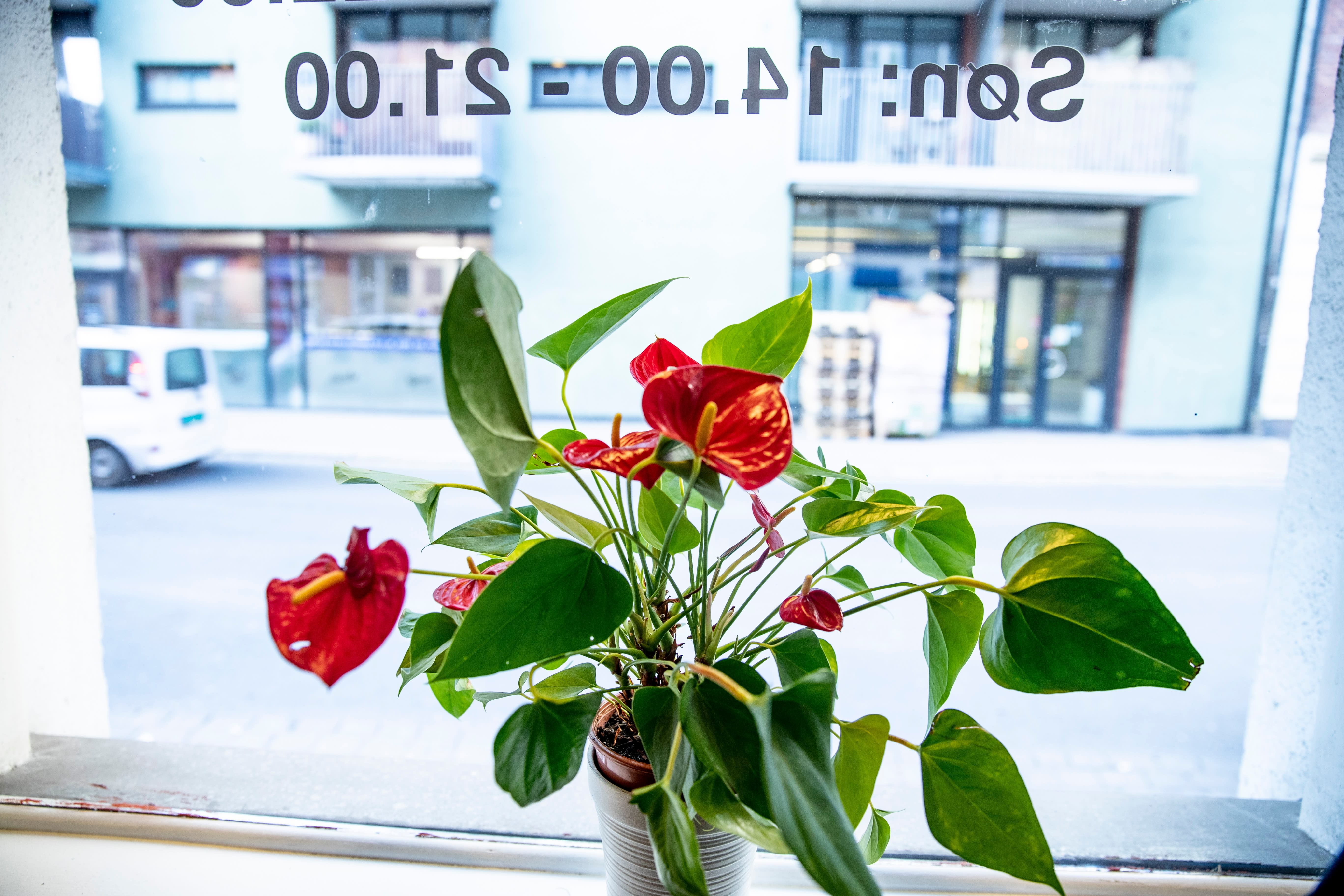 Thai Orchid er en sjelden blomst i nabolaget mellom Youngstorget og Hausmanns gate.