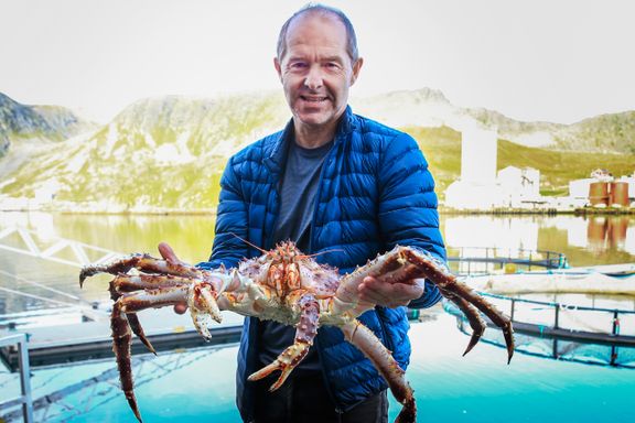 Fiskeren tjener fett på krabbeeksport - tenner et lys for Syden-reisende søringer