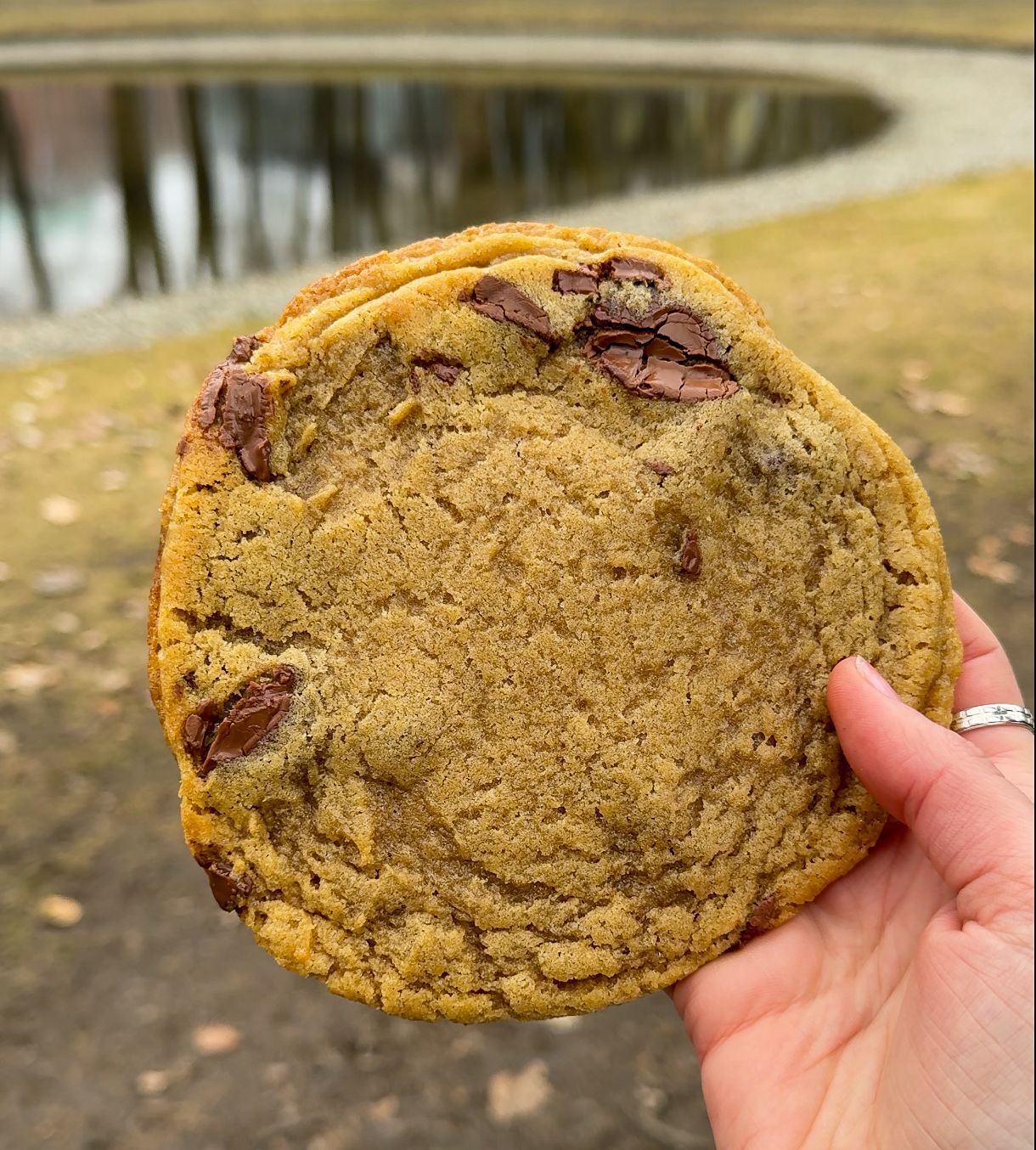 15 cookies som frister oss