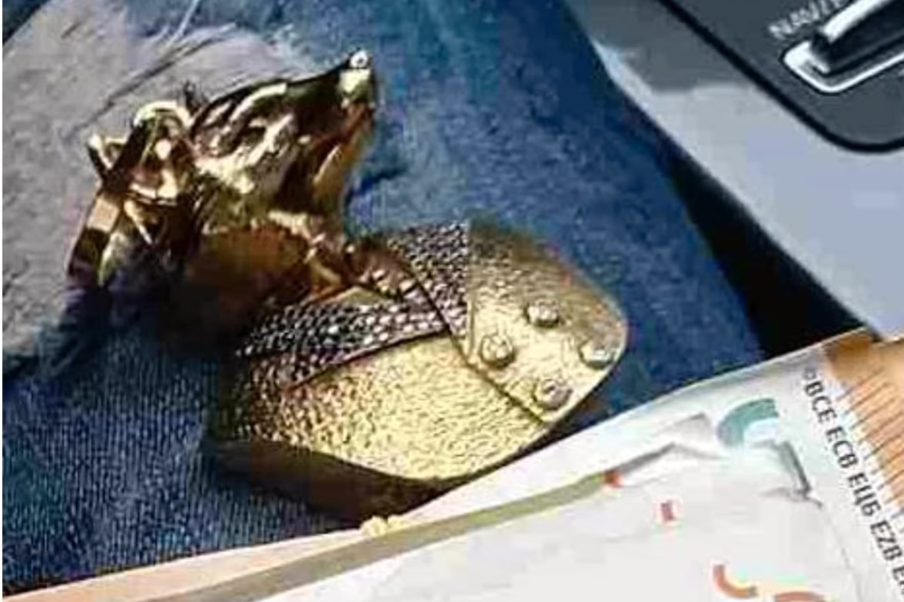 En dødelig maktkamp foregår i Sverige. Sentralt står «Den kurdiske reven».