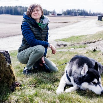 588 ukrainske kjæledyr har kommet til Norge. Det koster staten millioner. 