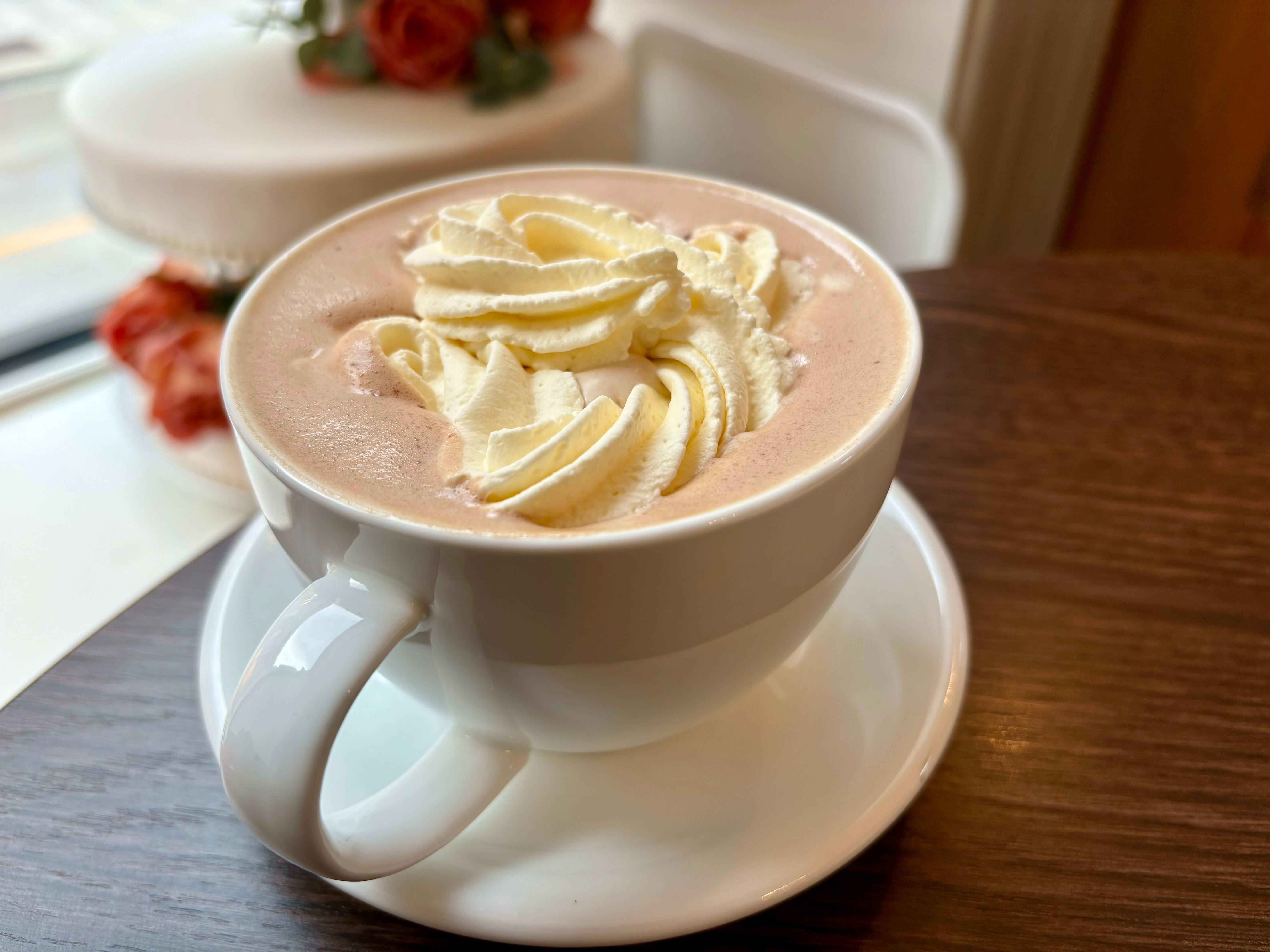 Den store kakao-guiden for høsten 2024