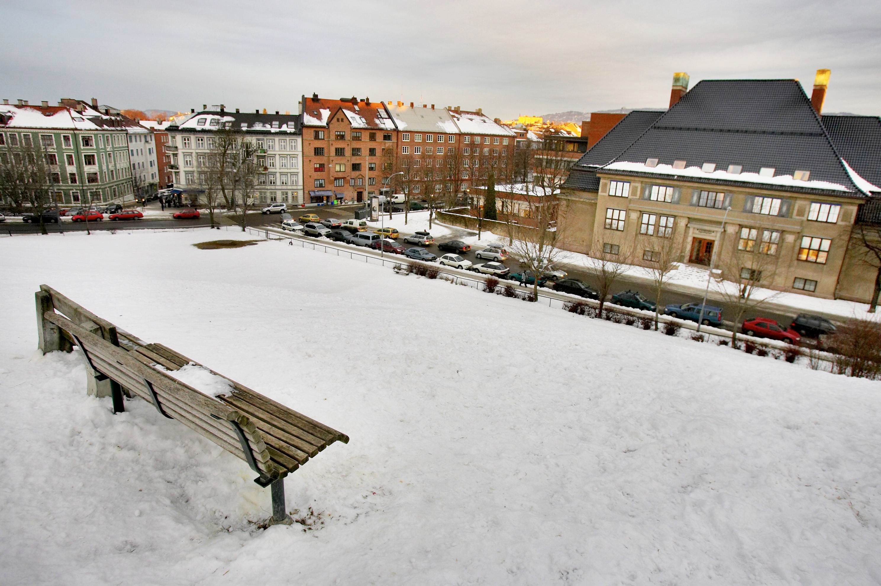 Her kan du ake i Oslo