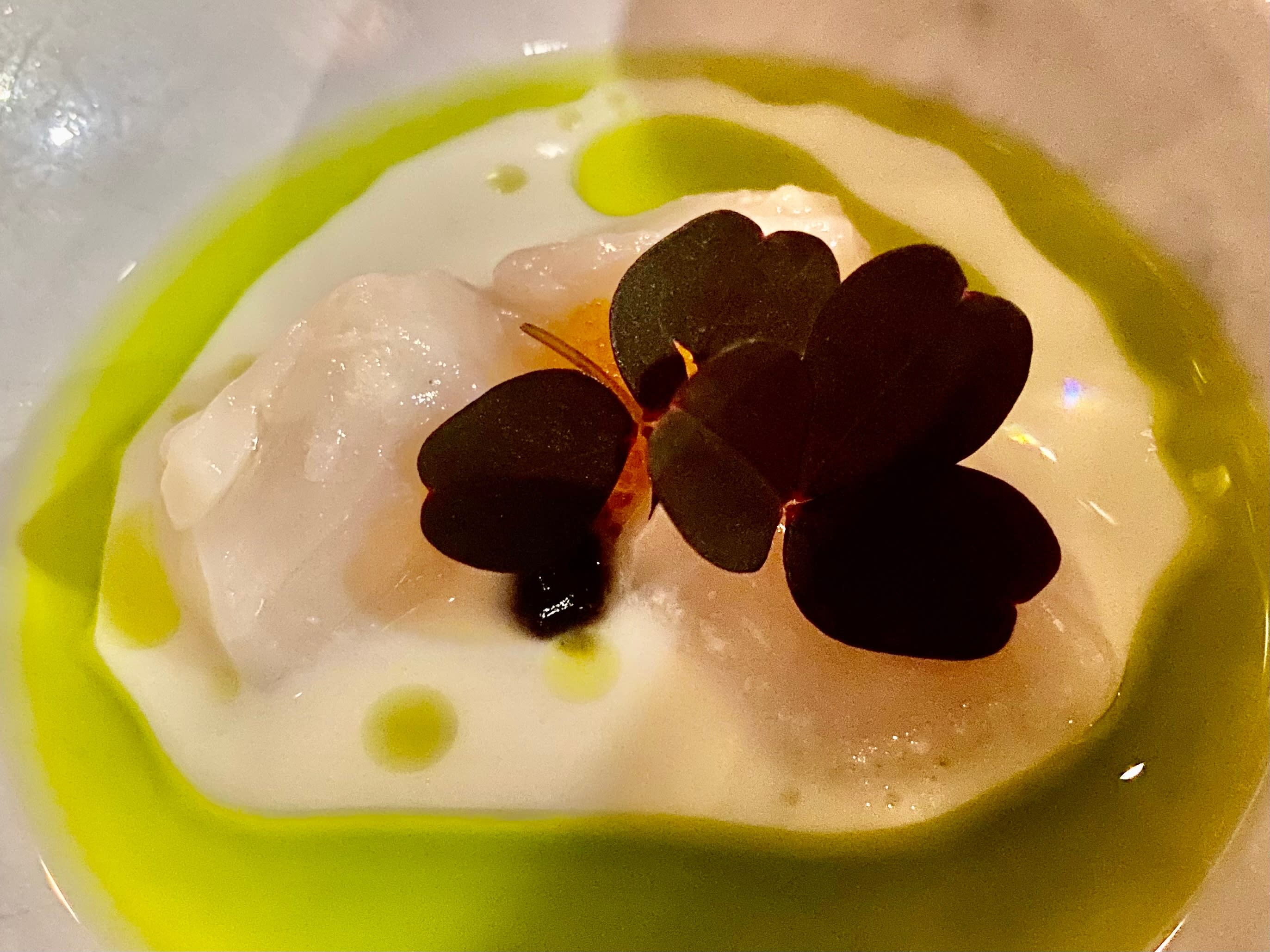 Kamskjell med kokosnøtt. 