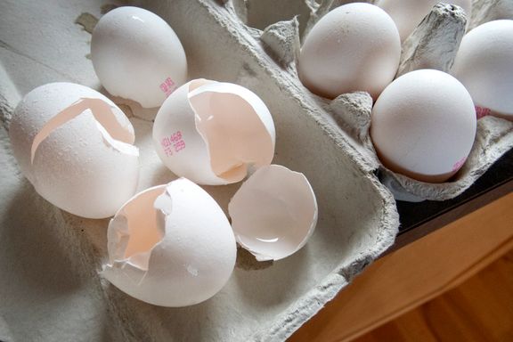 400 tonn egg kan bli grisefôr