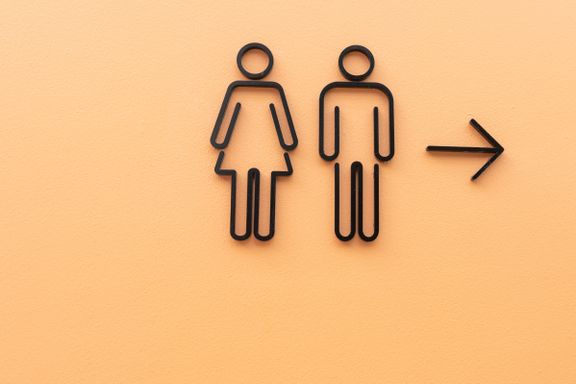 Vi kan vurdere kjønnsnøytrale toaletter når alle menn begynner å tisse korrekt