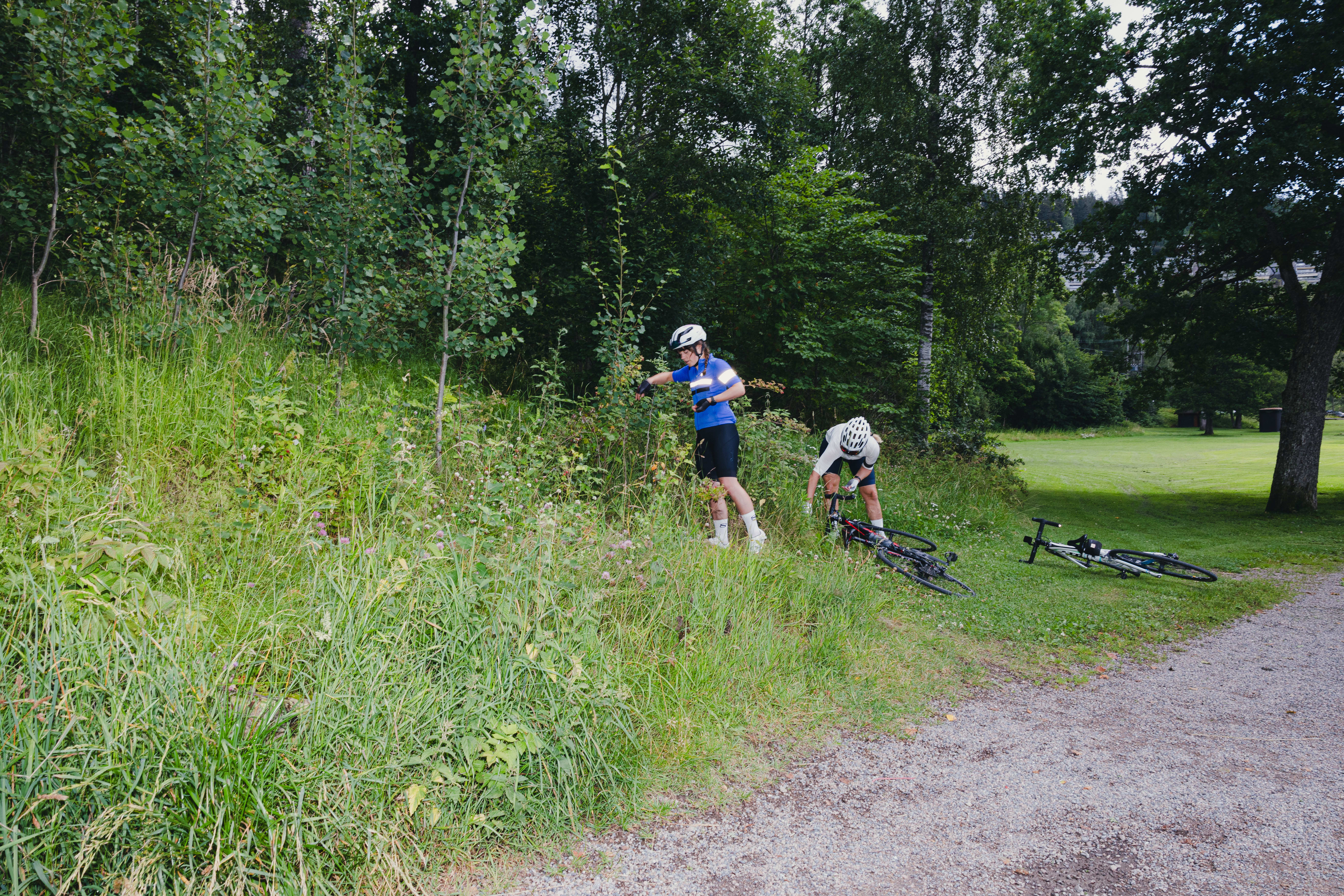 Psst! Følg med på bringebær i veikanten. Og følg med på bilen bak deg, dersom du vurderer å stoppe. 