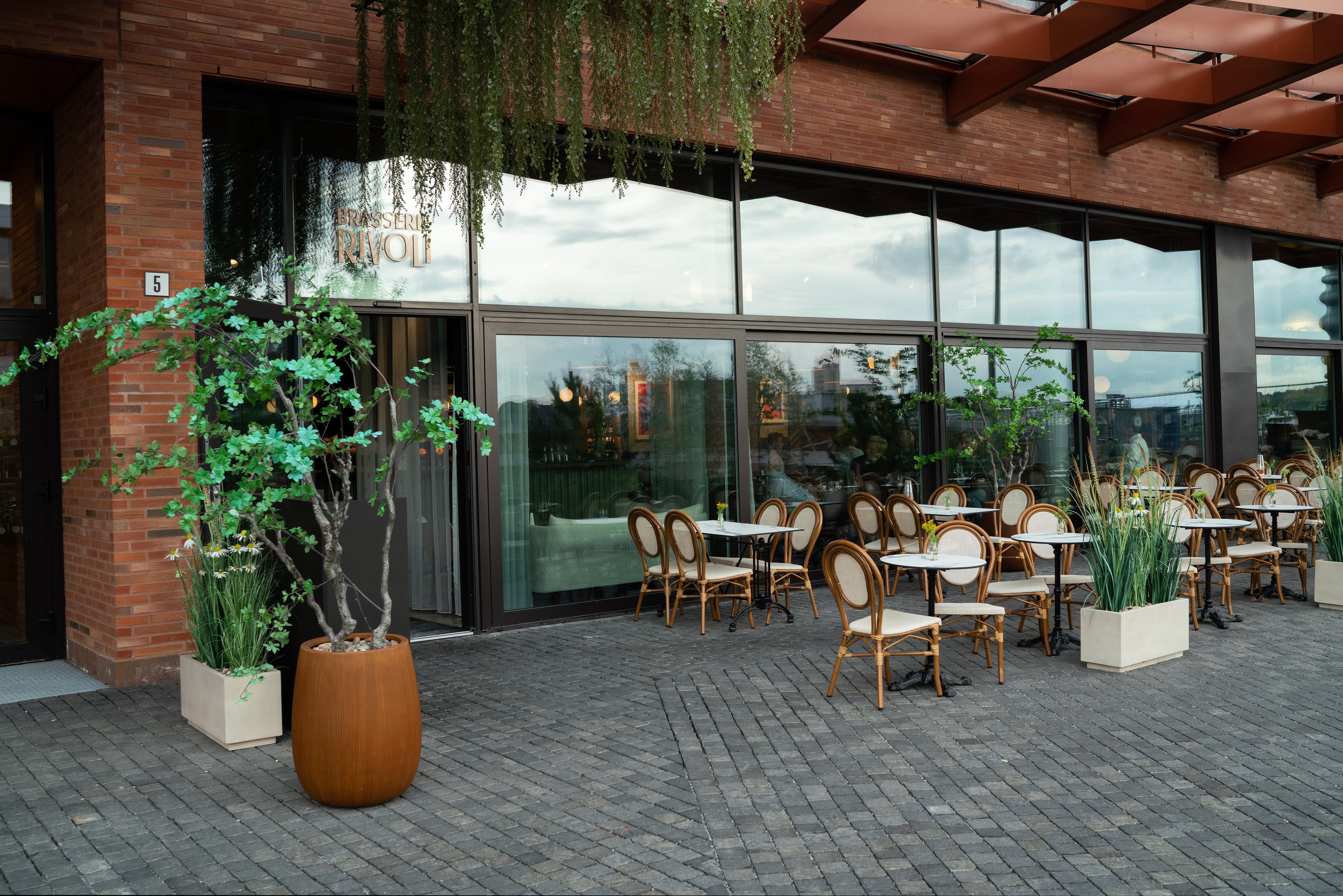 Hit bør du gå inn dørene, men kutt plastikkplanter utenfor. 