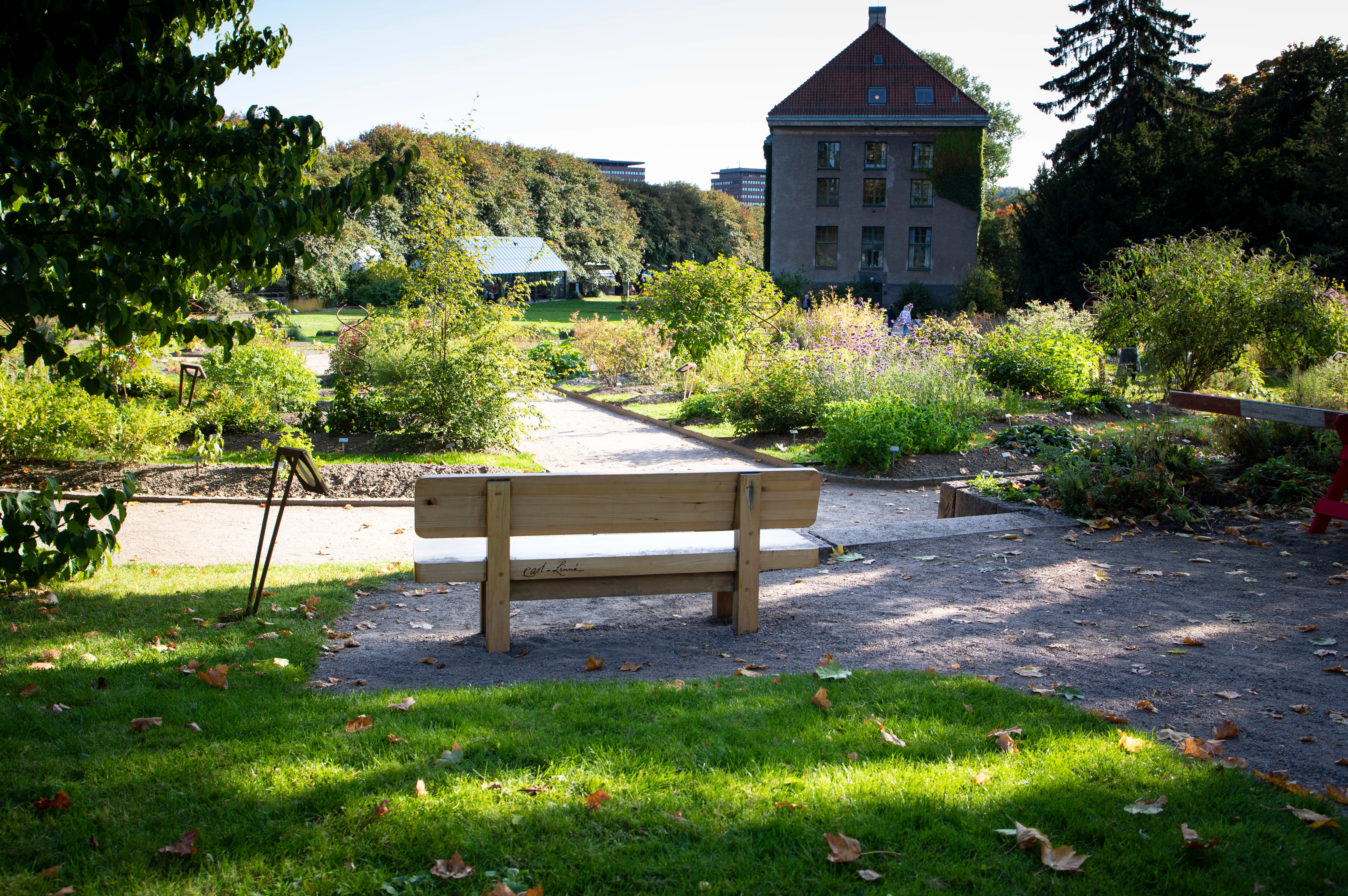 Varmt i Oslo for tiden? Sjekk ut disse skyggefulle stedene.