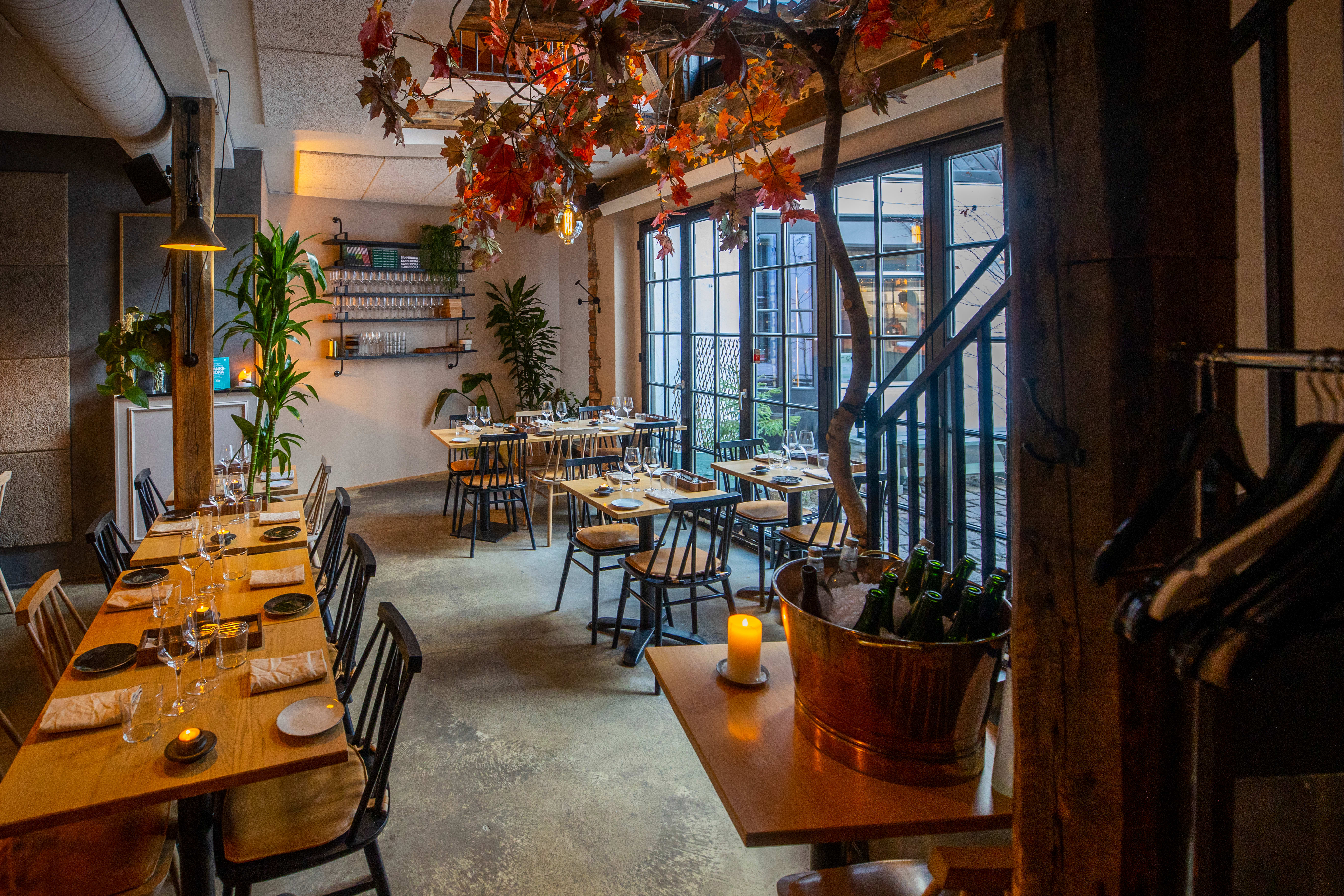 Kolonihagen har det de beskriver som en grønn filosofi med stort fokus på norsk og bærekraftig mat. 