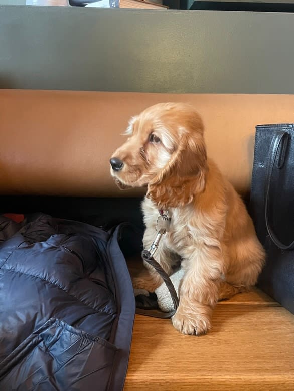 Se på de labbene der!