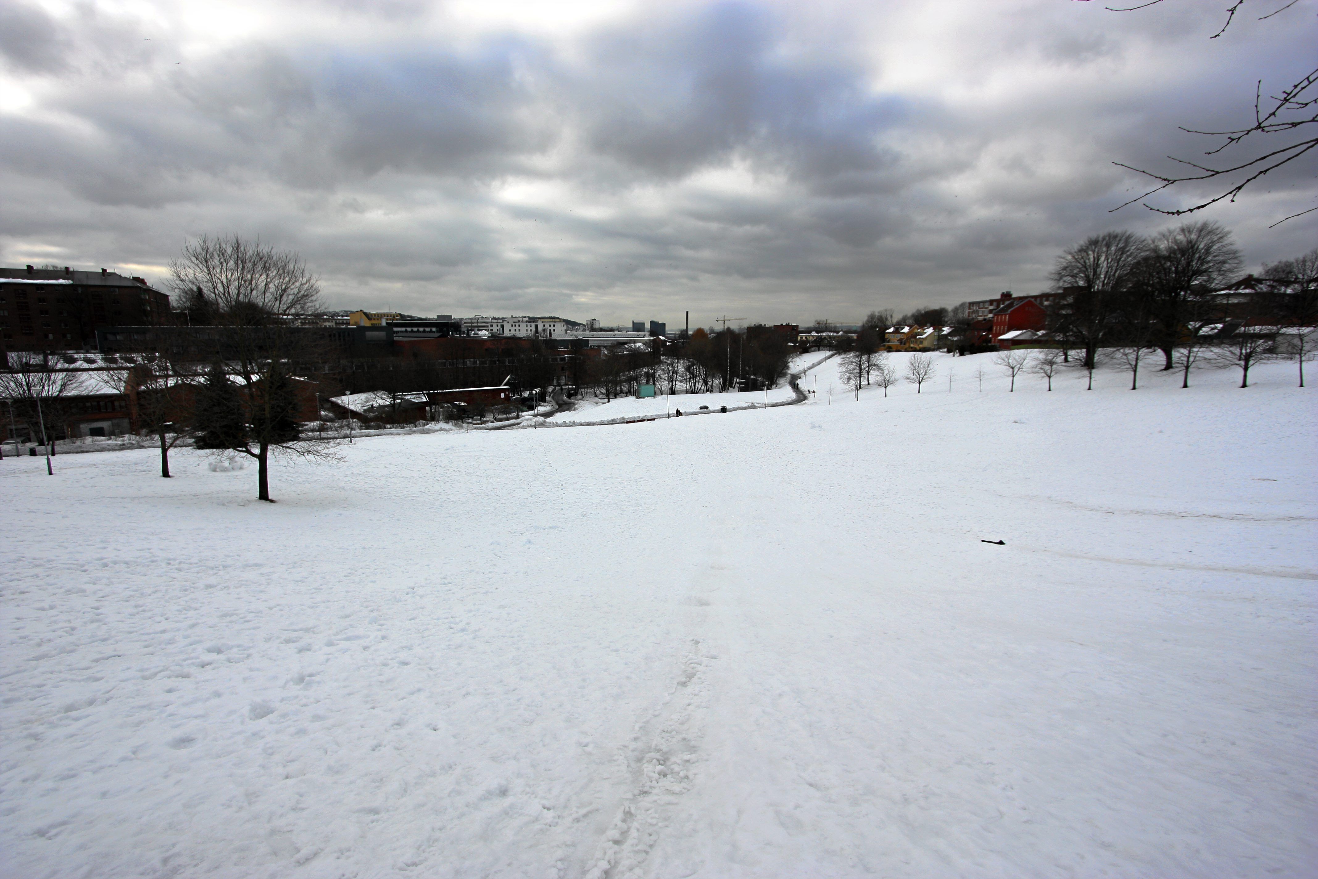 Her kan du ake i Oslo