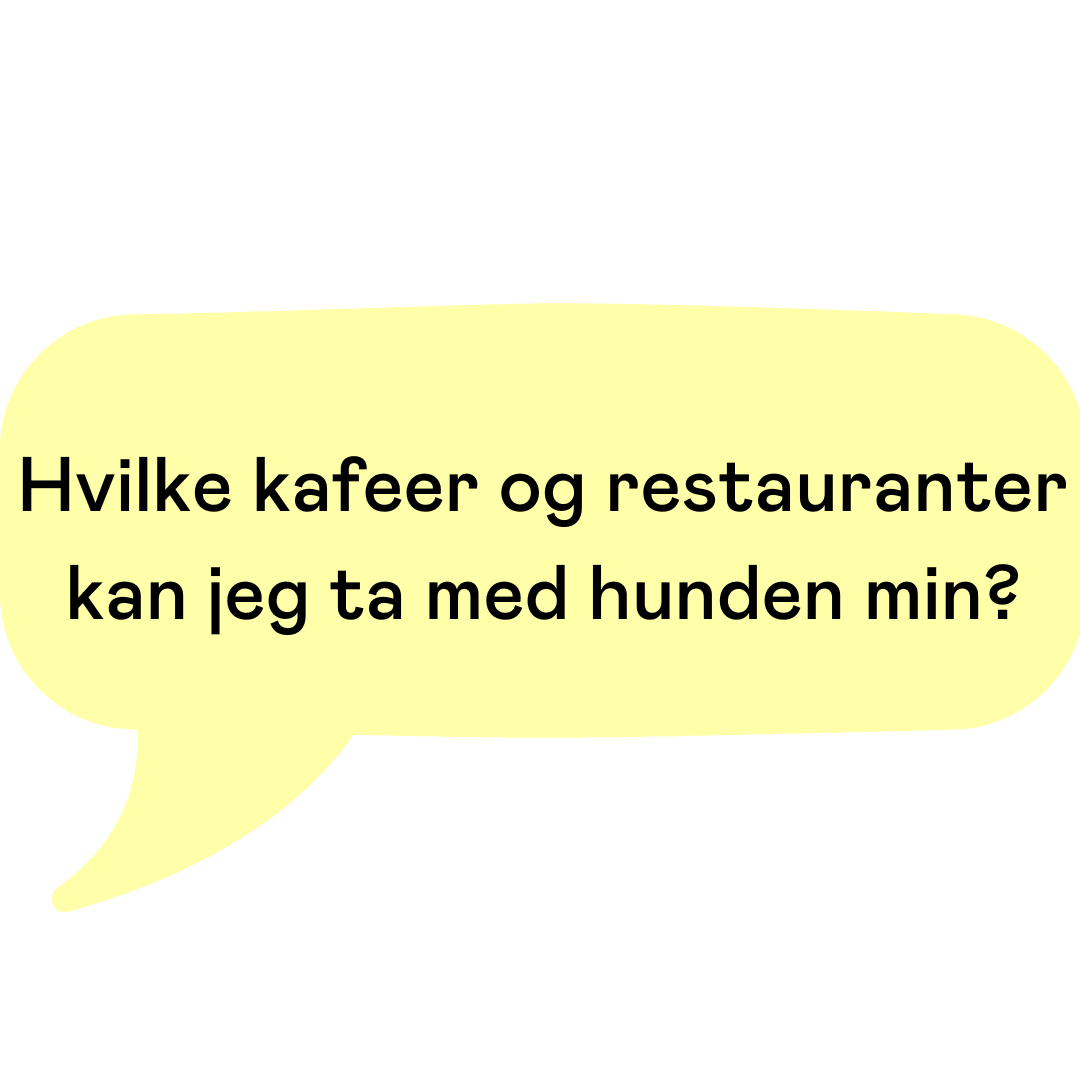 Hvilke spisesteder i Oslos er rimelige, men også bra? Hvor burde jeg spise i Bjørvika?