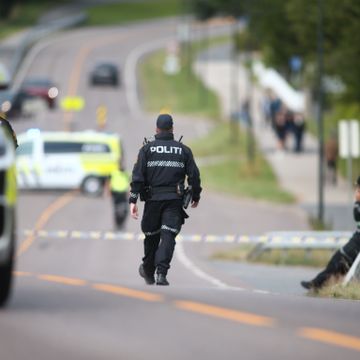 Mannen som ble skutt og drept av politiet, var en 34 år gammel svensk statsborger