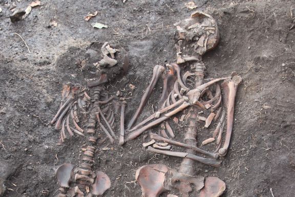 DNA fra middelalderskjeletter i Gamle Oslo viser hvor farlig lus kunne være 