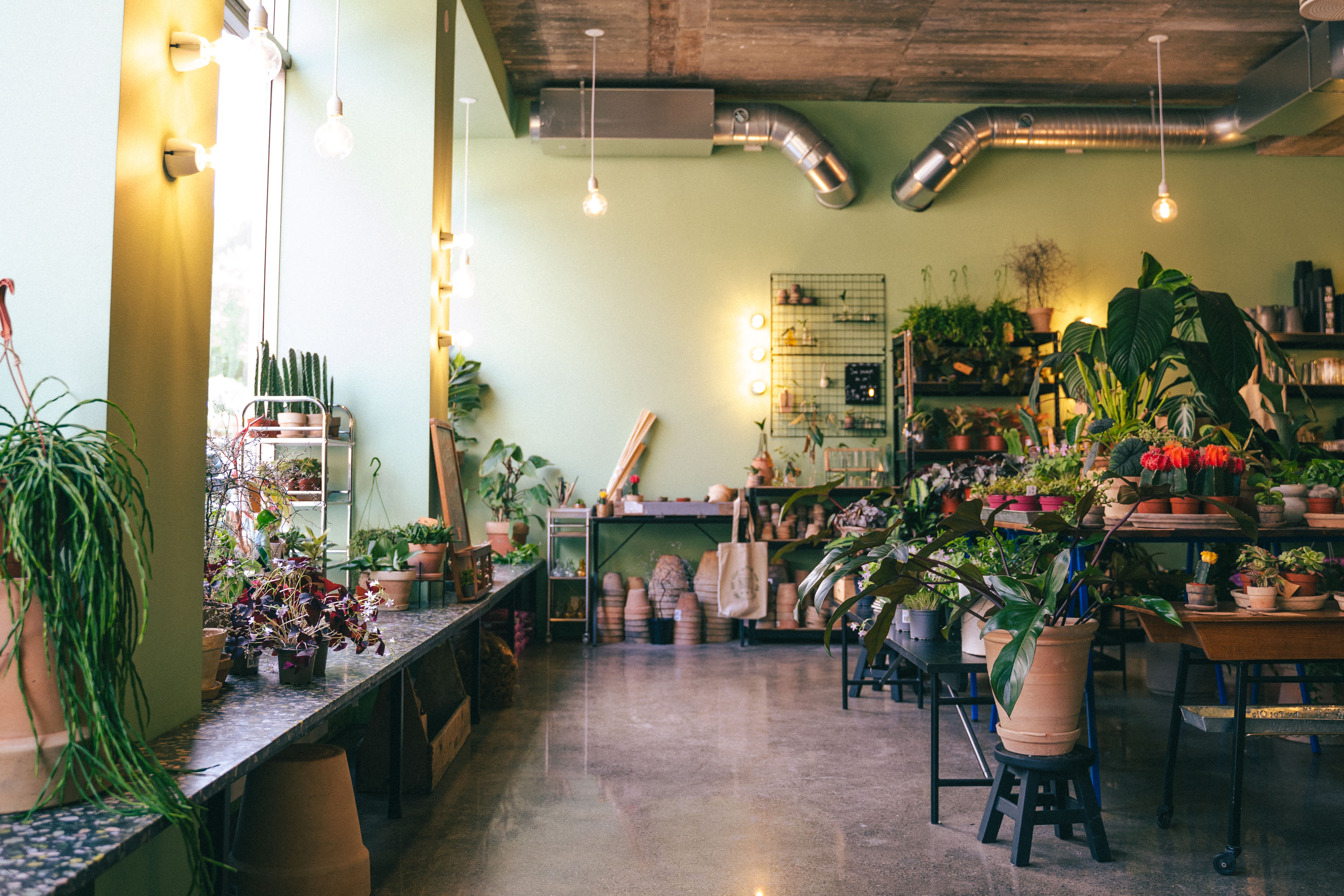 Kanskje finner du en plante også?