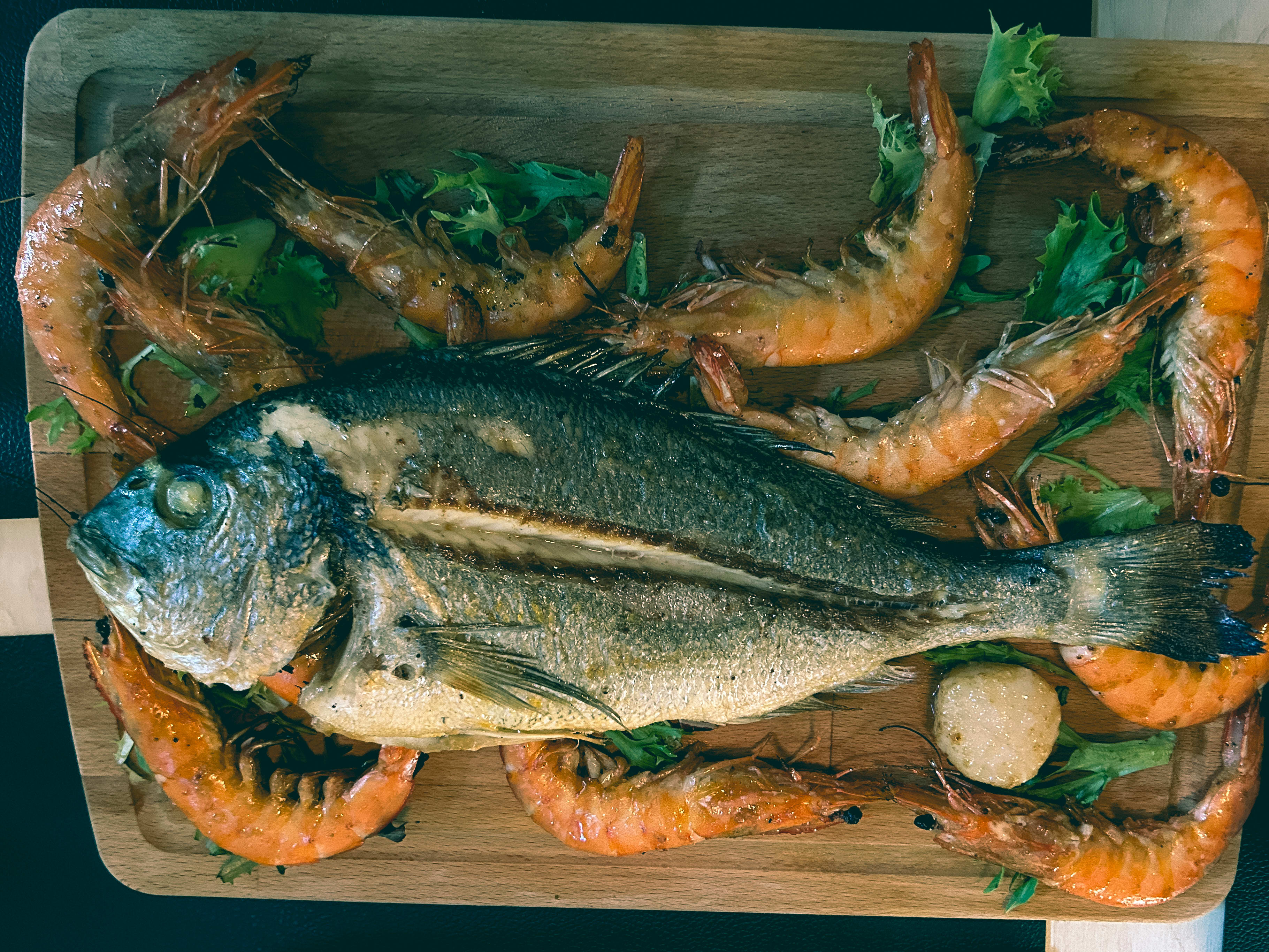 Ulike varianter av Dorade finnes rundt hele Afrika. 