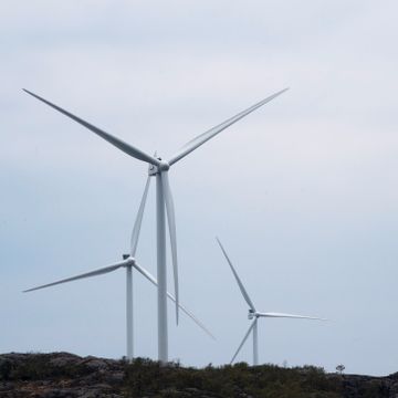 Hvor skal det bygges vindmøller? Miljøpartiet De Grønne blir ikke enige. 