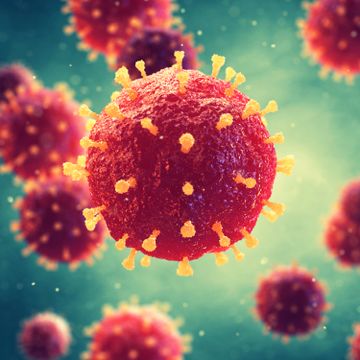 Koronavirus styrer nå verden. Men det har da virus alltid gjort?