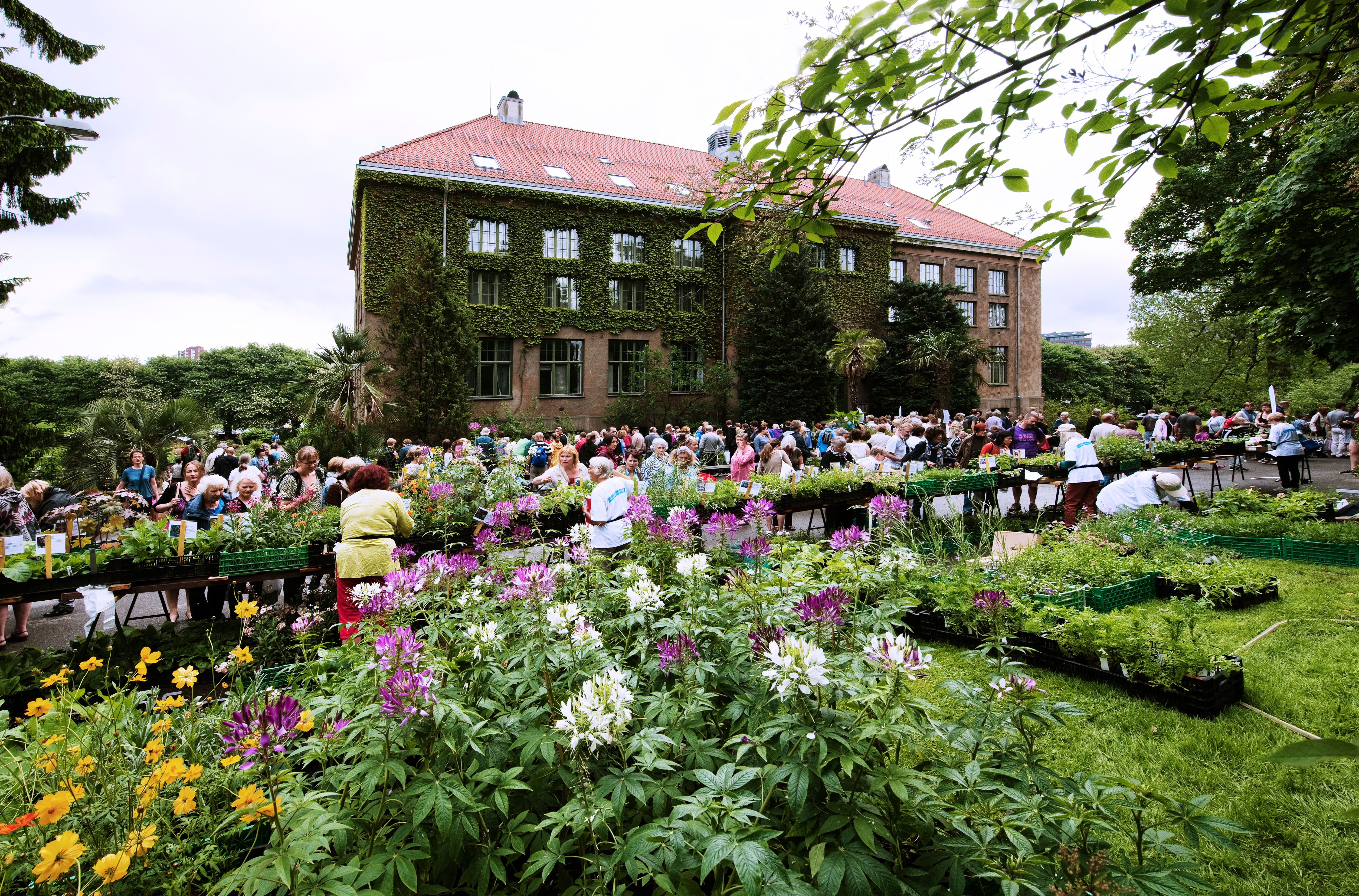 Lids hus i Botanisk hage. 