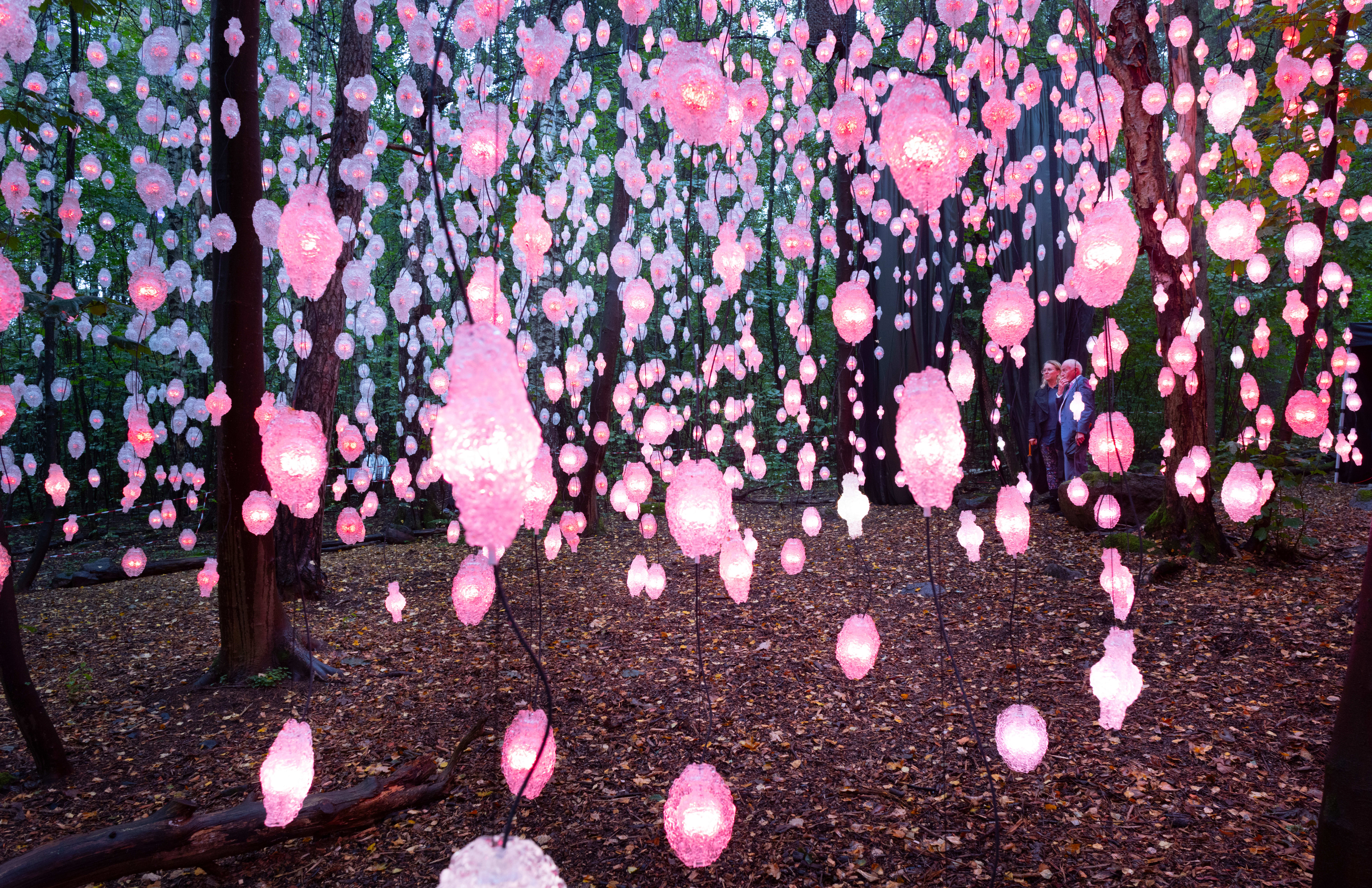 Isabelle Ringnes spådde at parken vil bli «Oslos mest populære friersted 2024». 