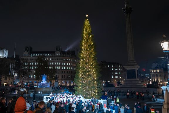 Juletreet fra Norge er utskjelt og latterliggjort. Et nytt grep kan ha gitt London «det beste treet på årevis».