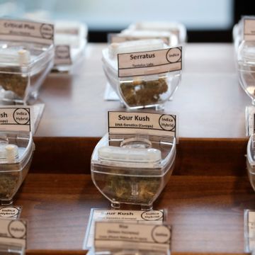 Erfaringene fra Canada er lovende. På tide å legalisere cannabis?