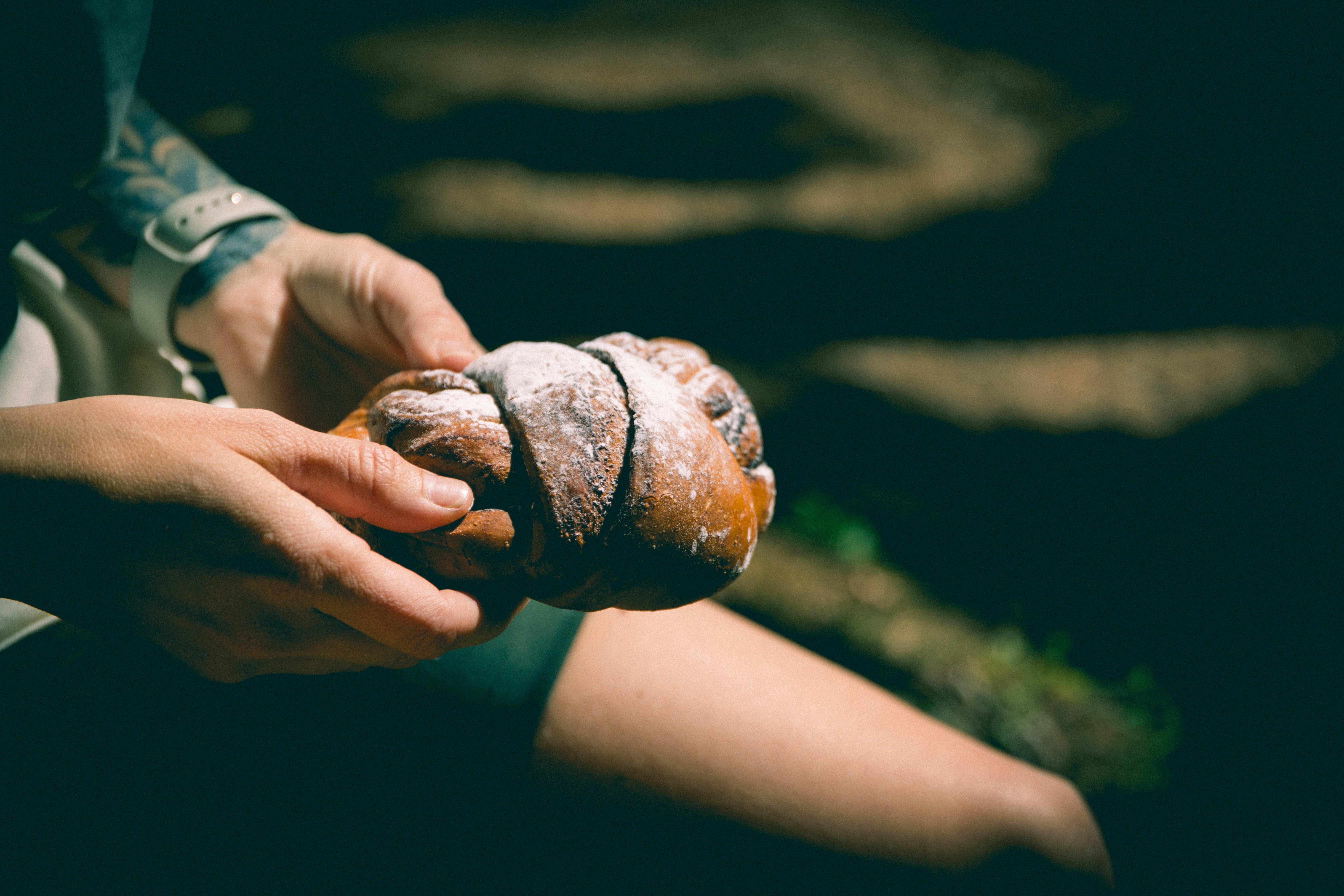 Skogsboller frister.