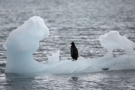 Havisen i Antarktis har fungert som klodens kjøleskap. Men nå ser vi dramatisk endring.