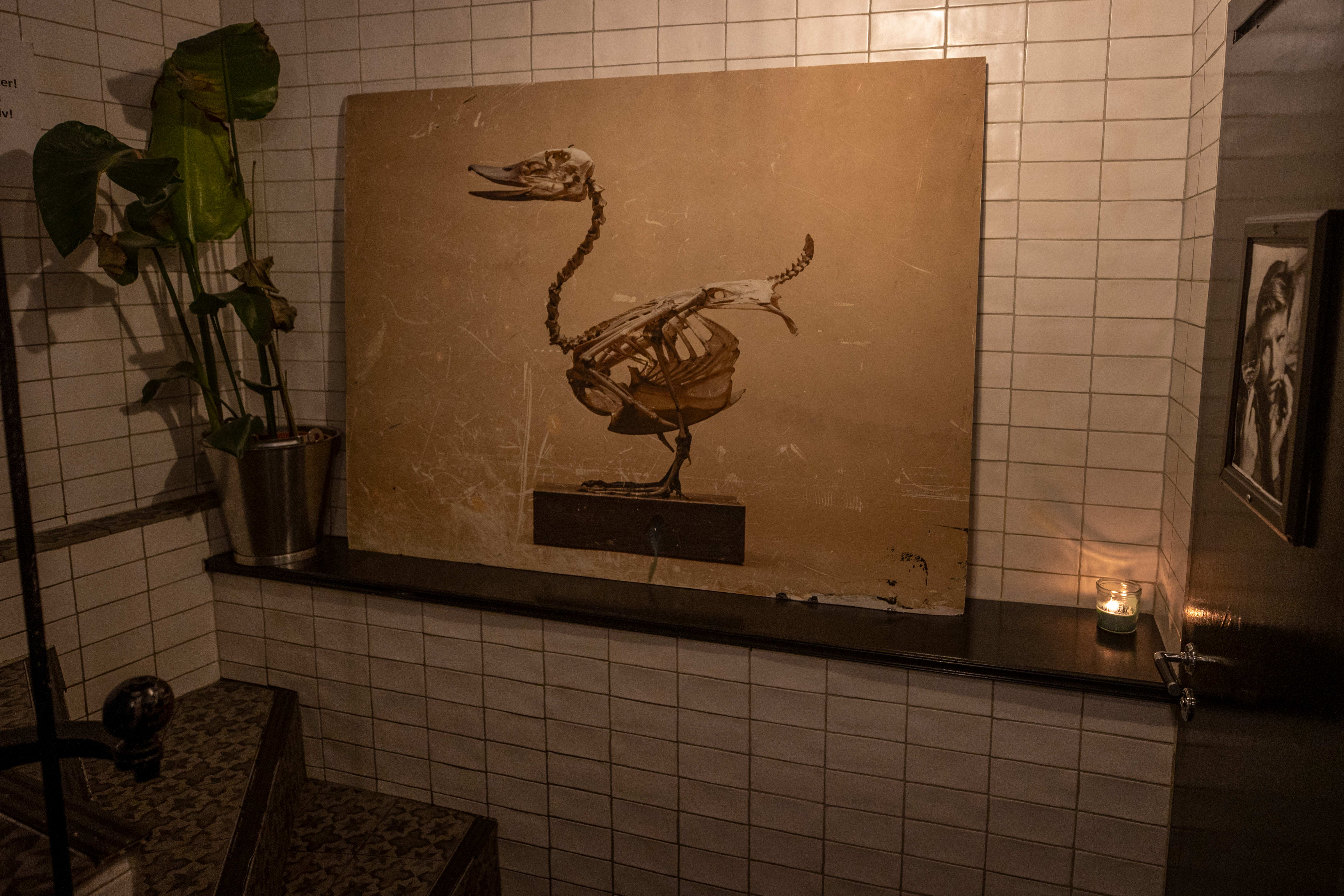 Sirkus når St. Lars serverer