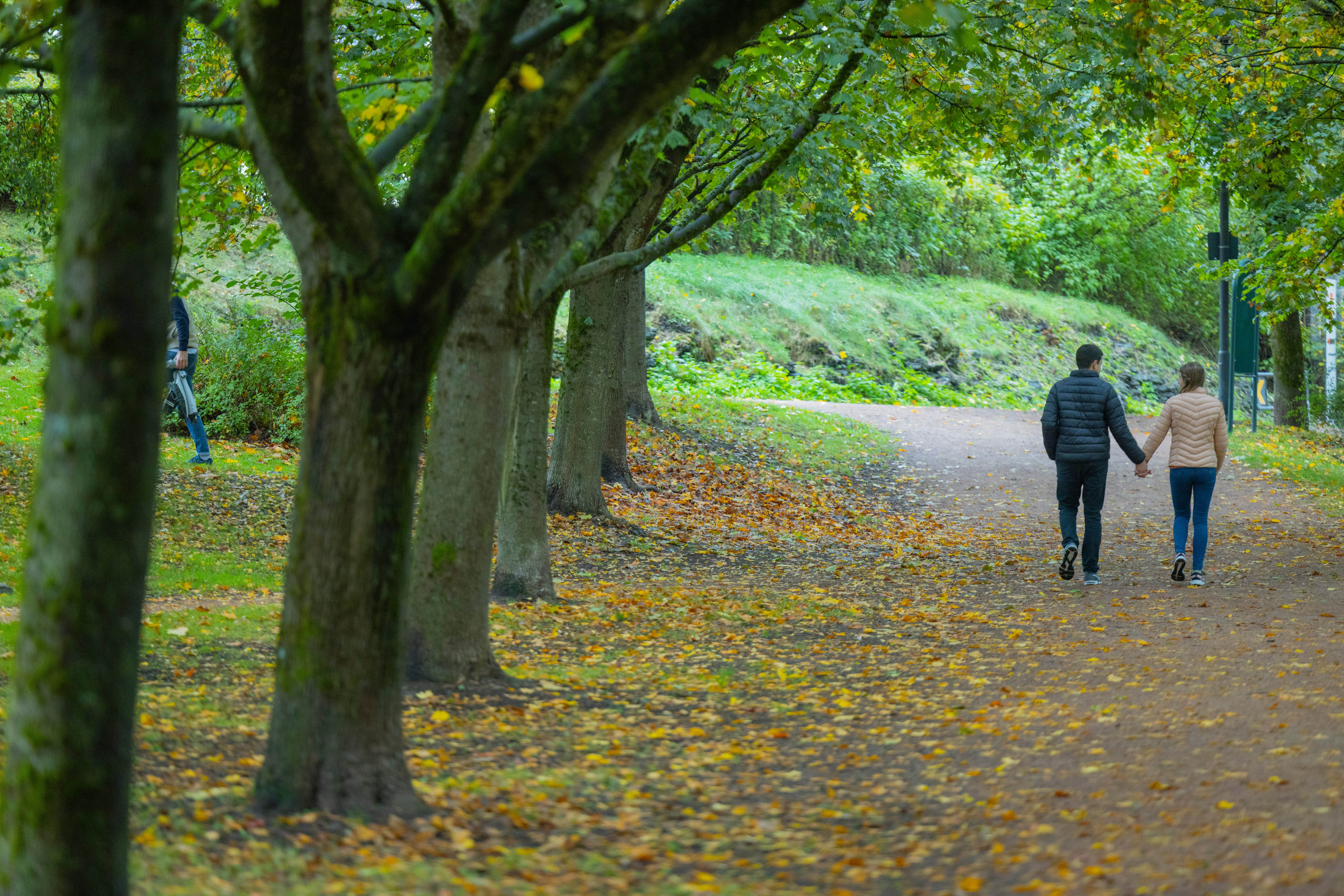 Frognerparken i sine sjarmerende høstfarger – blir det mer romantisk?
