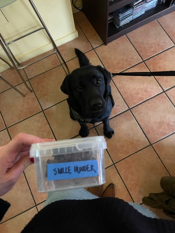 Her har de til og med mat til snille hunder!